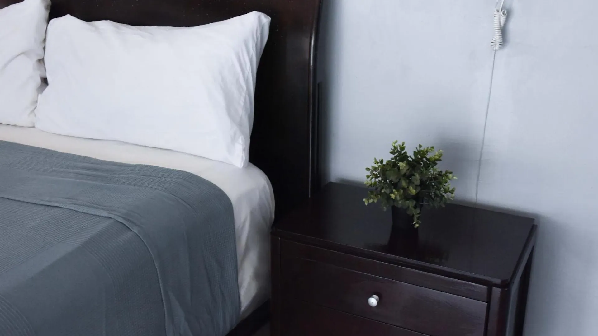 Hostel Gato Colonial Santo Domingo Guest house
