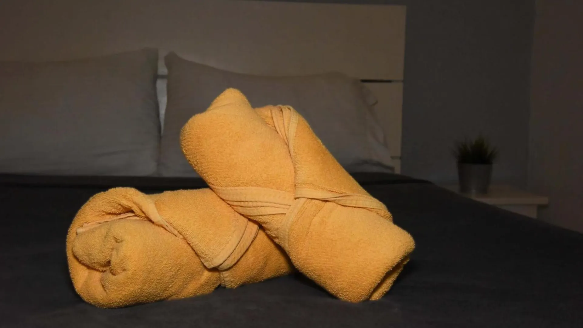 Guest house Hostel Gato Colonial Santo Domingo Dominican Republic