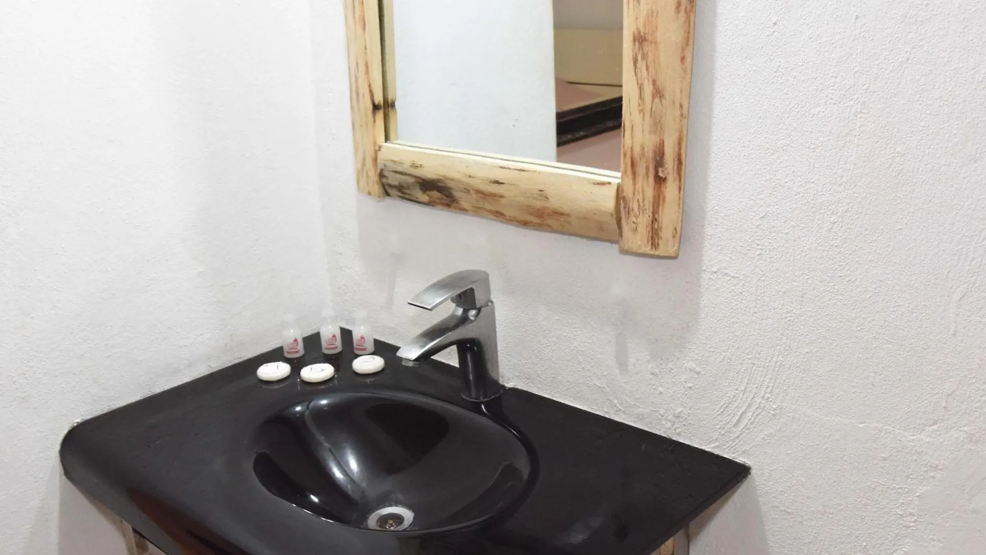 Guest house Hostel Gato Colonial Santo Domingo Dominican Republic