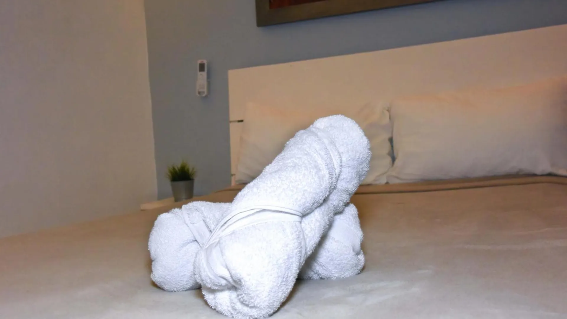 Hostel Gato Colonial Σάντο Ντομίγκο 0*,